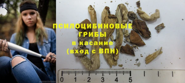 прущие крисы Богородск