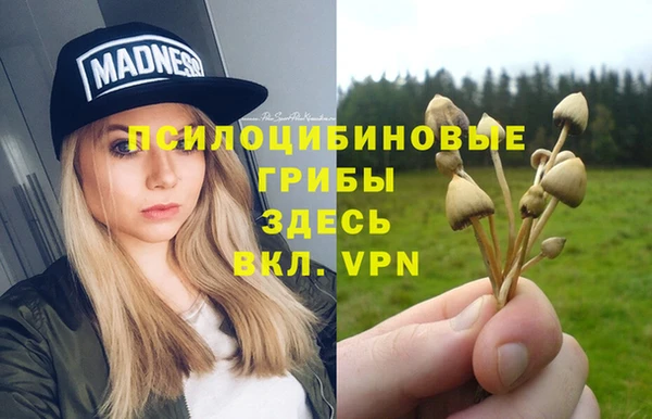 прущие крисы Богородск