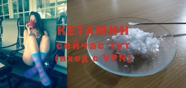 дмт Бородино