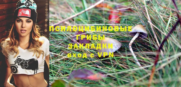 альфа пвп Богородицк