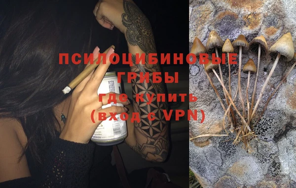 марки nbome Богданович