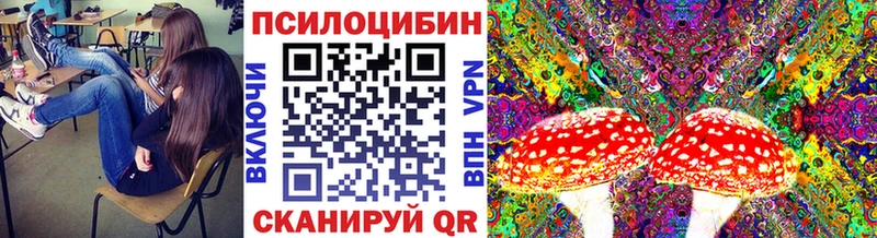 купить  сайты  Невель  Галлюциногенные грибы GOLDEN TEACHER 